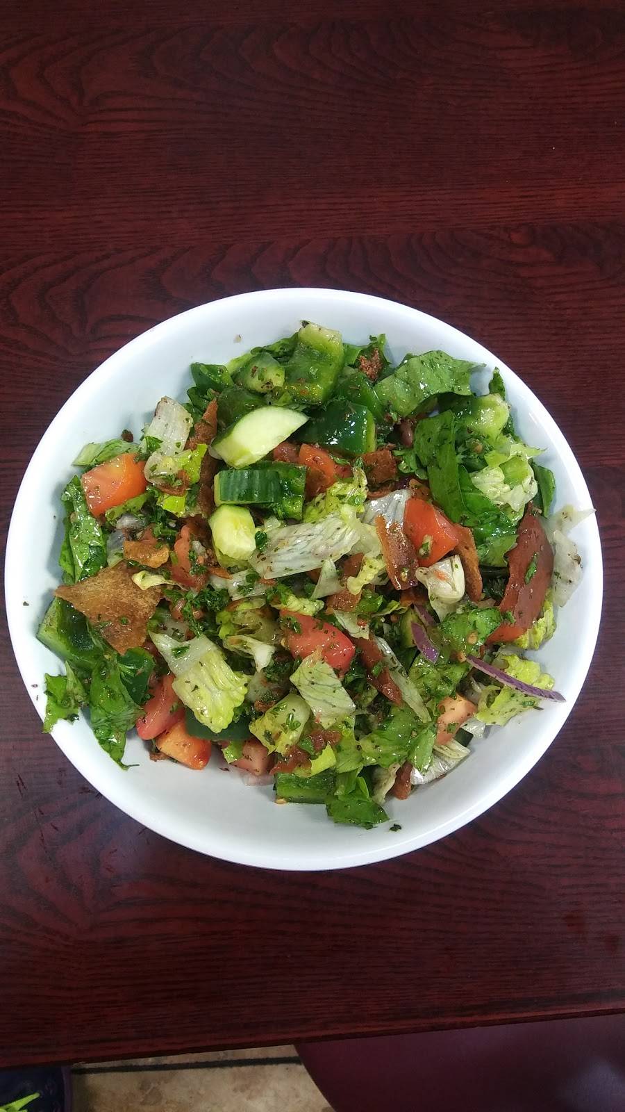 SHAWARMAHOLIC | restaurant | 3344 Secor Rd, Toledo, OH 43606, USA | 4197259444 OR +1 419-725-9444