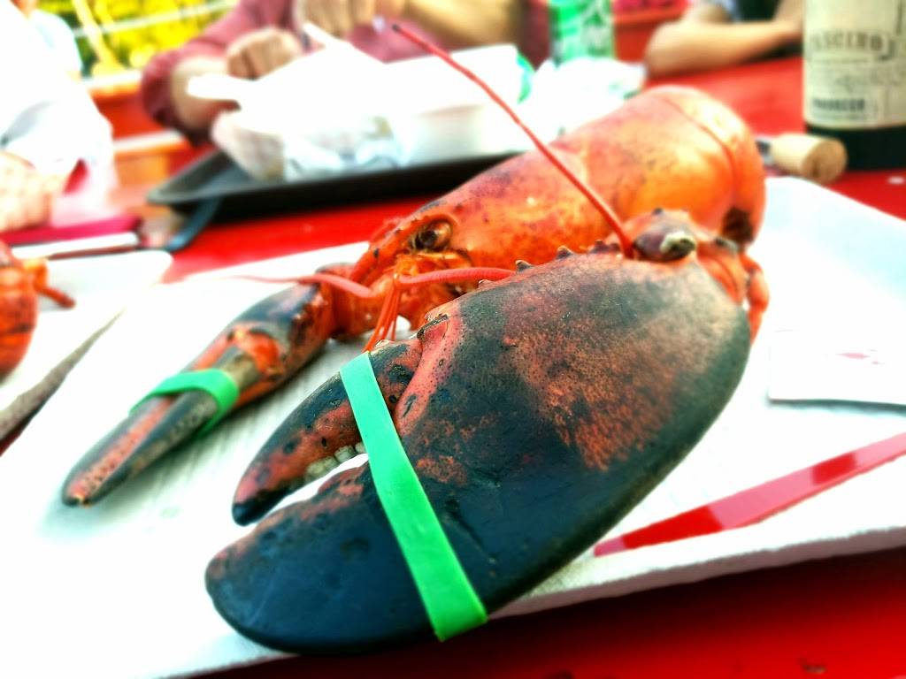 Chauncey Creek Lobster Pier | restaurant | 16 Chauncey Creek Rd, Kittery Point, ME 03905, USA | 2074391030 OR +1 207-439-1030