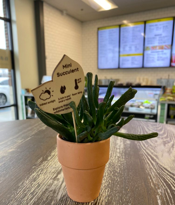 Naked Fuel | restaurant | 2976 W Maple Rd, Troy, MI 48084, USA | 2482204633 OR +1 248-220-4633