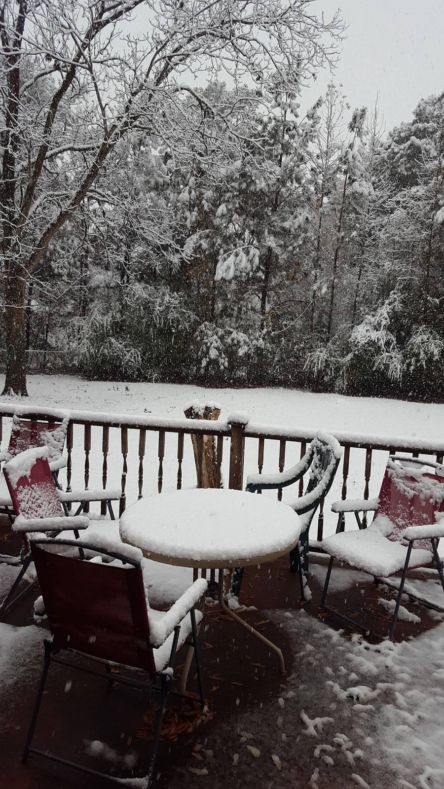 Mamies Fish House | restaurant | 14262 US-43, Forkland, AL 36740, USA | 3342872399 OR +1 334-287-2399