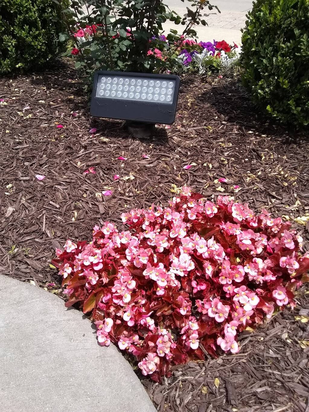 Chicago Bagel & Bialy | bakery | 260 S Milwaukee Ave, Wheeling, IL 60090, USA | 8474599009 OR +1 847-459-9009