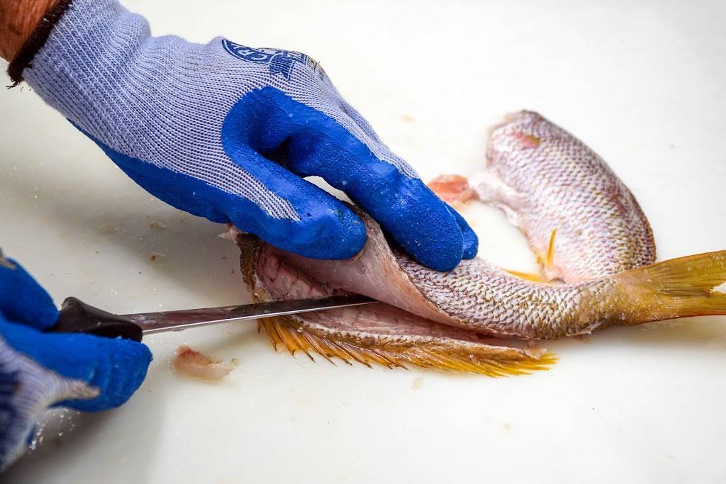 East Coast Fish LLC |  | 12705 NW 42nd Ave, Opa-locka, FL 33054, USA | 7864799241 OR +1 786-479-9241