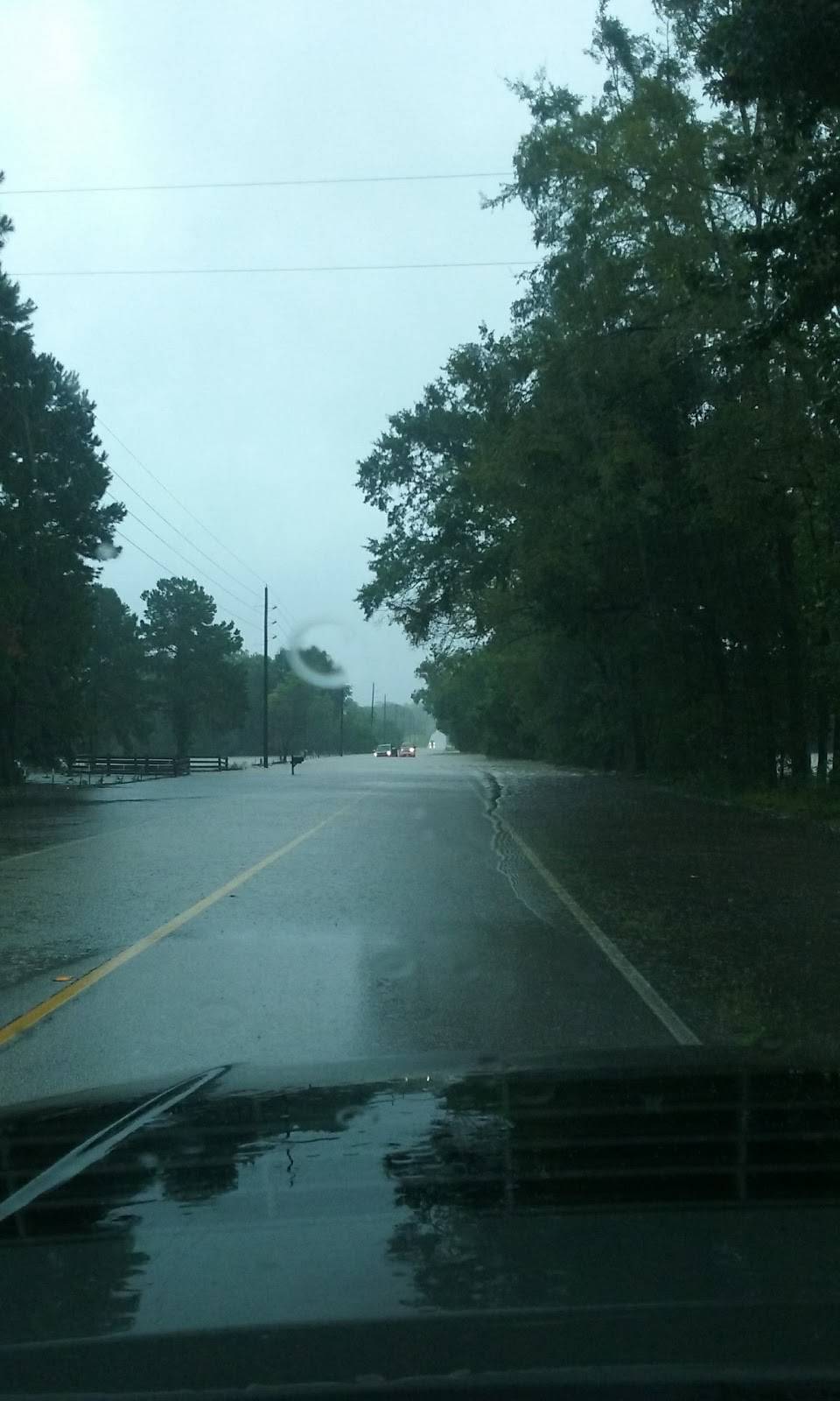 Piney Woods Mart | restaurant | 11845 Calvary Rd, Willis, TX 77318, USA | 9367014090 OR +1 936-701-4090