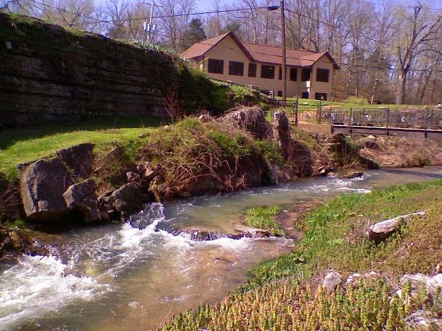 DeVitos Restaurant | restaurant | 350 Devitos Loop N, Harrison, AR 72601, USA | 8707418832 OR +1 870-741-8832