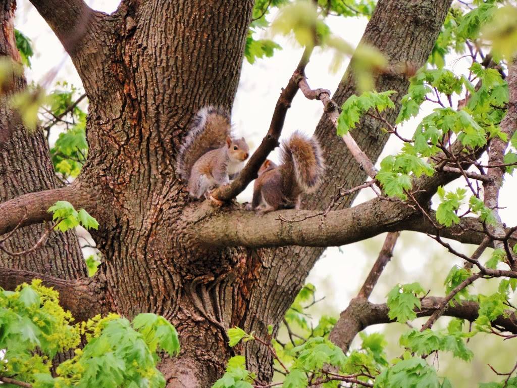 Marilyns Family Restaurant | restaurant | 25812 S Governors Hwy, Monee, IL 60449, USA | 7085348467 OR +1 708-534-8467