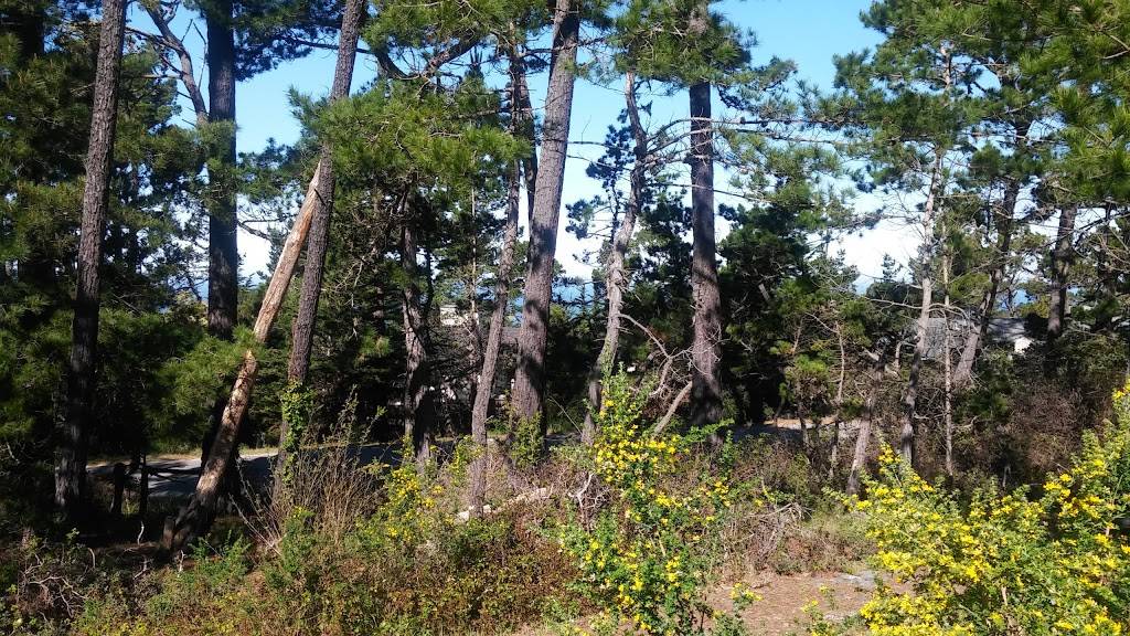 Poppy Hills Golf Course | restaurant | 3200 Lopez Rd, Pebble Beach, CA 93953, USA | 8316251513 OR +1 831-625-1513