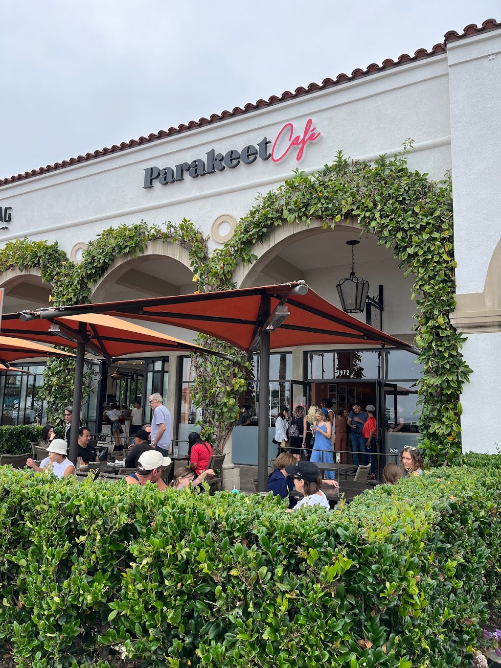 Parakeet Cafe | restaurant | 7972 East Coast Hwy, Newport Beach, CA 92657, USA | 9499904300 OR +1 949-990-4300