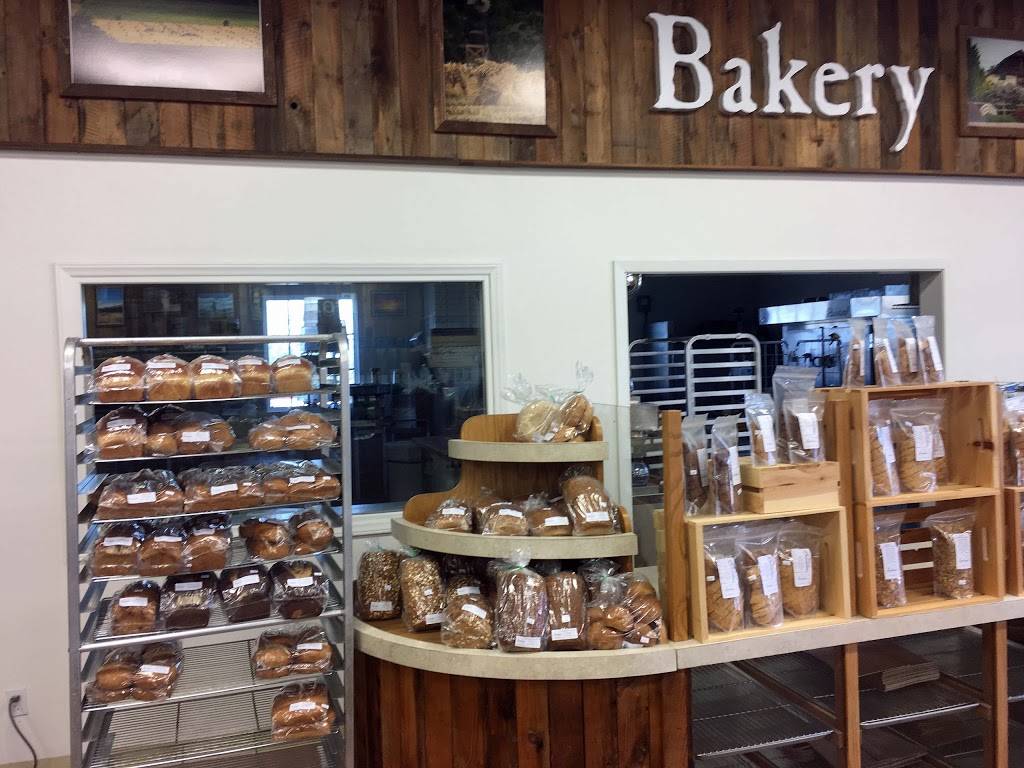 Artisan Oven Pizza | restaurant | 169 Halbert Ln, Waco, TX 76705, USA | 2542307898 OR +1 254-230-7898