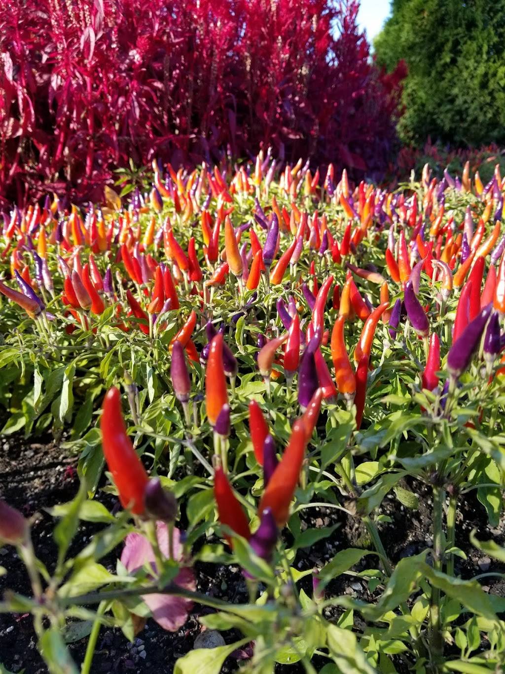 Cantignys Fare Ways Restaurant | night club | 27W270 Mack Rd, Wheaton, IL 60189, USA | 6302608194 OR +1 630-260-8194