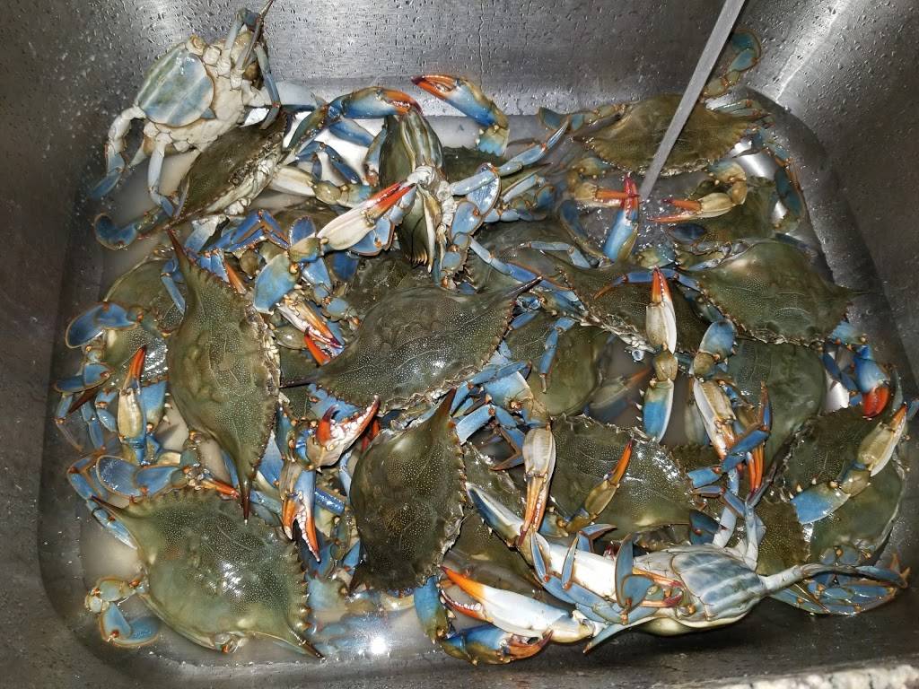 River City Crabs & Seafood | meal takeaway | 921 Pulaski Hwy, Havre De Grace, MD 21078, USA | 4109395625 OR +1 410-939-5625