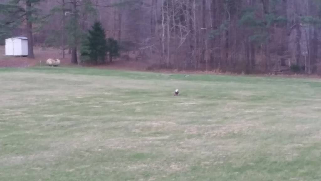 Ricks Bar-B-Que | restaurant | 1522 US-79, Dover, TN 37058, USA | 9312327217 OR +1 931-232-7217