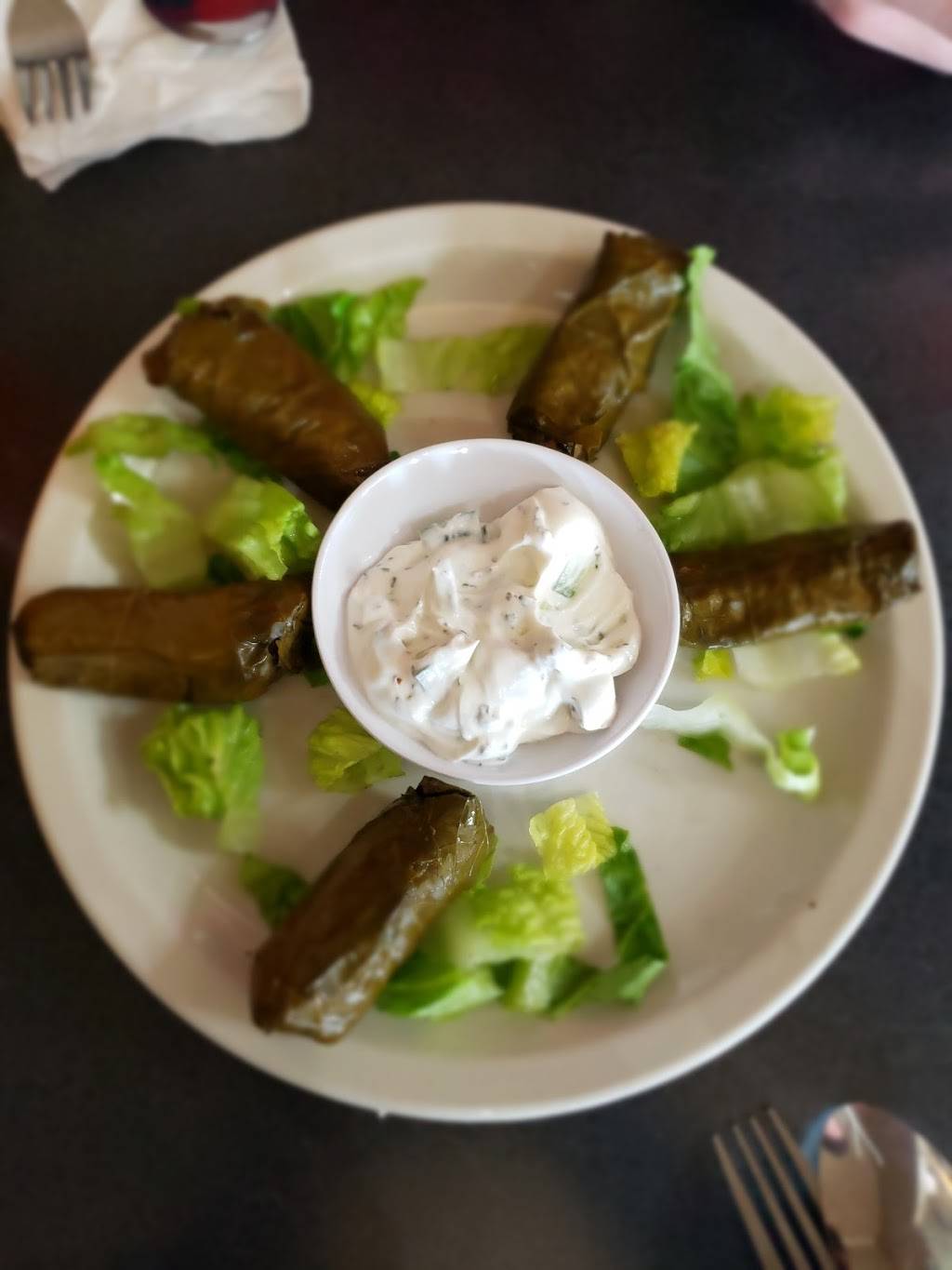Damascus Mediterranean Cuisine | restaurant | 4469 Hills and Dales Rd NW, Canton, OH 44708, USA | 2343608005 OR +1 234-360-8005