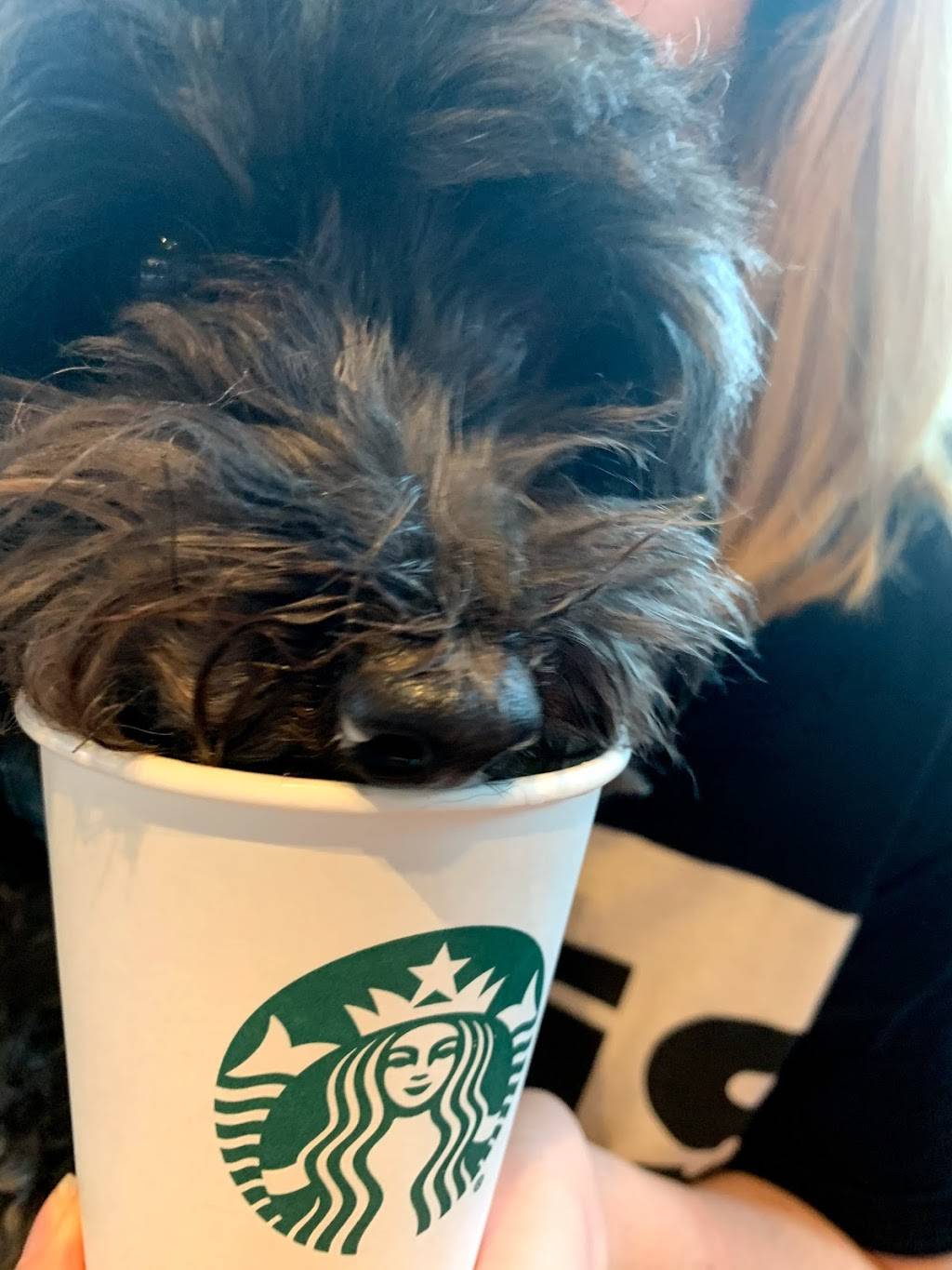 Starbucks | cafe | 16521 W 119th St, Olathe, KS 66061, USA | 9137680129 OR +1 913-768-0129