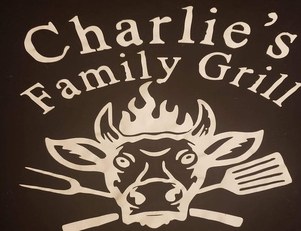 Charlies Family Grill | restaurant | 276 S Charles St, White Cloud, MI 49349, USA | 2313810078 OR +1 231-381-0078