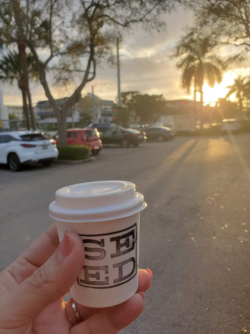 The Seed | cafe | 199 W Palmetto Park Rd E, Boca Raton, FL 33432, USA | 5614305640 OR +1 561-430-5640