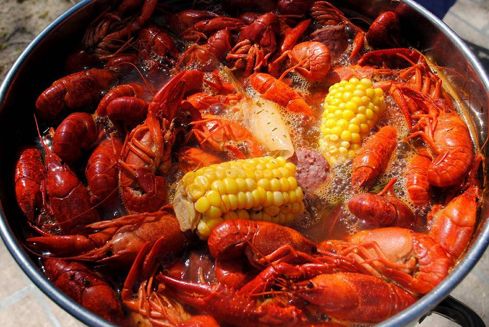 Crawfish Hole | restaurant | 510 Verot School Rd, Lafayette, LA 70508, USA | 3378069665 OR +1 337-806-9665