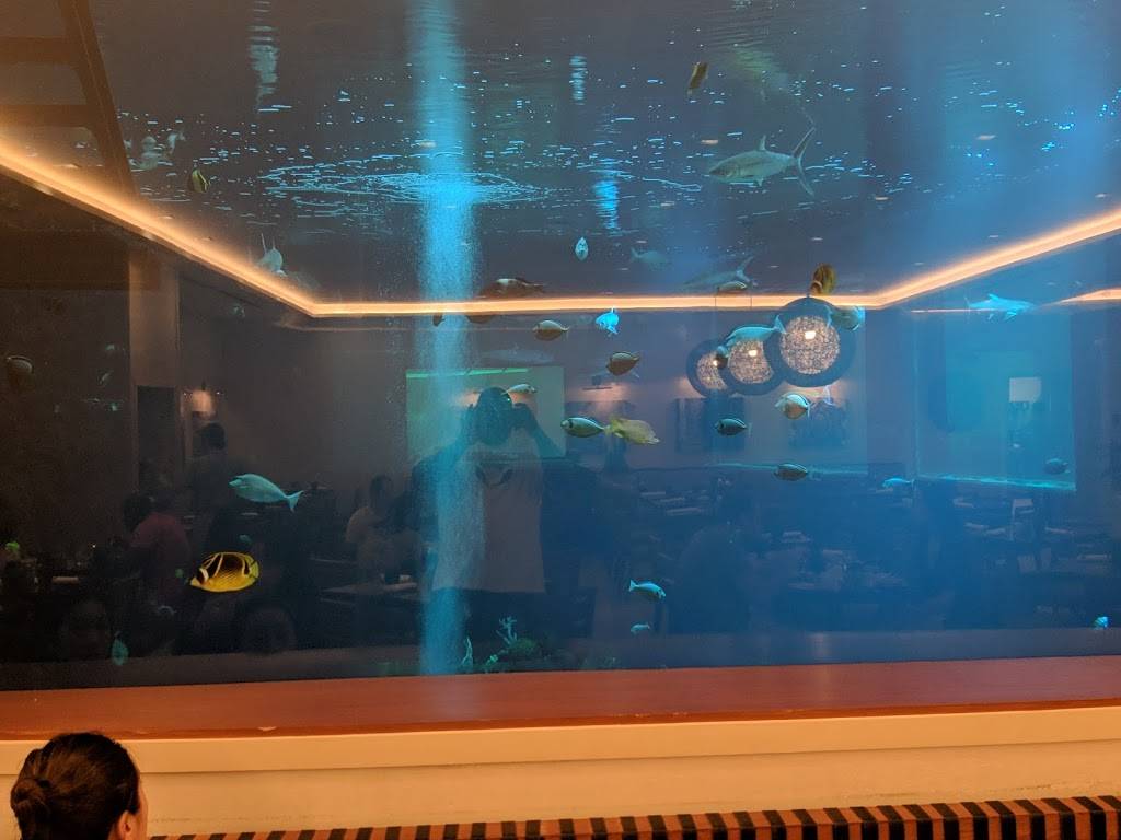 Lychee | restaurant | 2490 Kalakaua Ave, Honolulu, HI 96815, USA | 8089216193 OR +1 808-921-6193