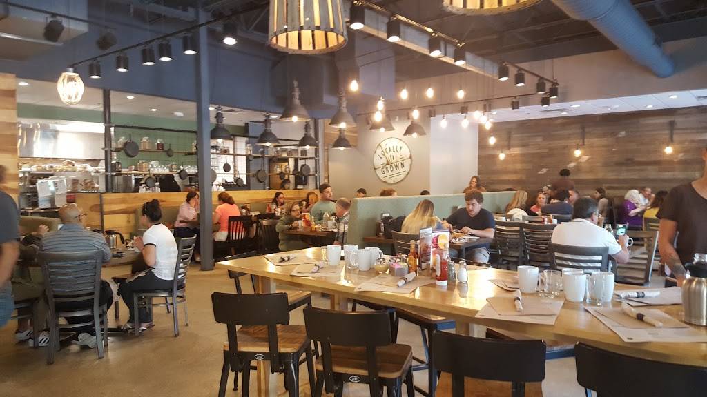 First Watch - Pembroke Pines | restaurant | 12598 Pines Blvd #103, Pembroke Pines, FL 33027, USA | 9545891295 OR +1 954-589-1295