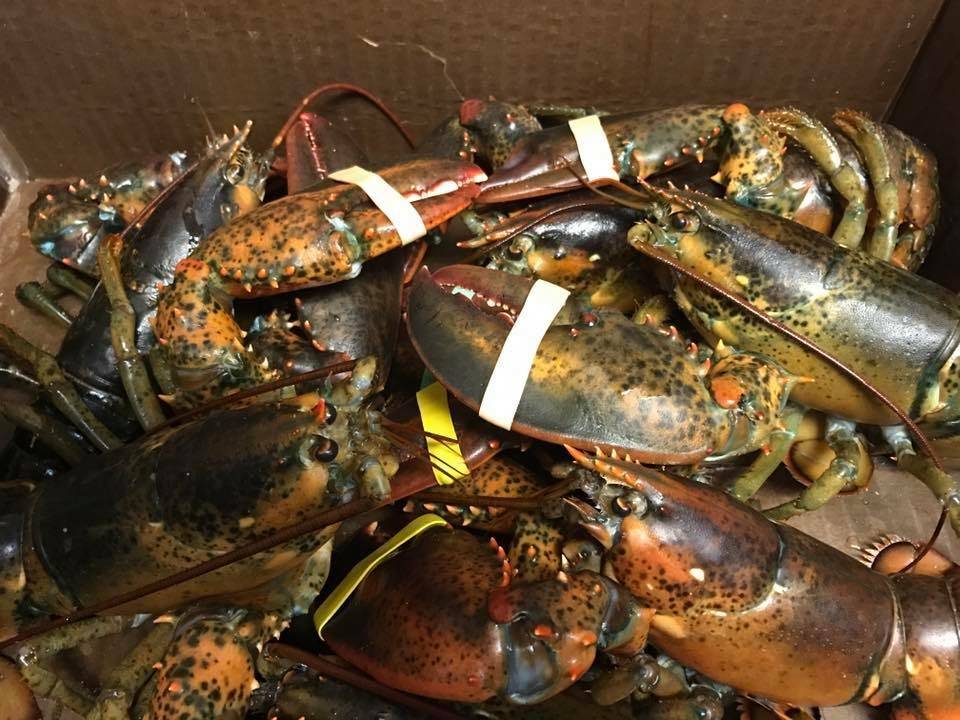 Jacks family restaurant | restaurant | 294 Child St, Warren, RI 02885, USA | 4012454052 OR +1 401-245-4052