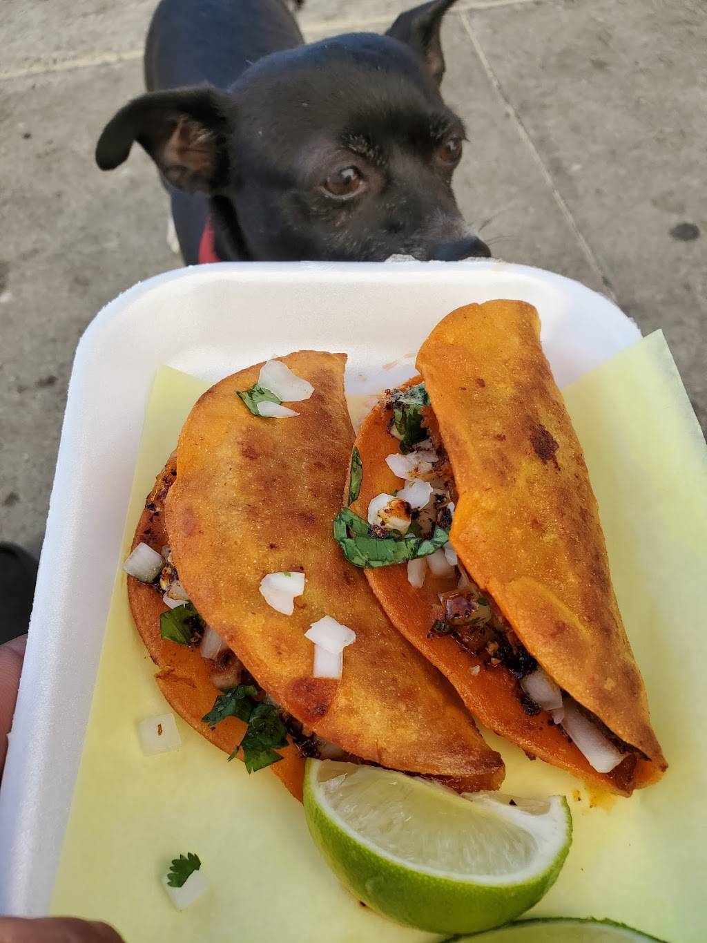 Birrieria Gomez | restaurant | 10670 S La Cienega Blvd, Lennox, CA 90304, USA | 4242196292 OR +1 424-219-6292