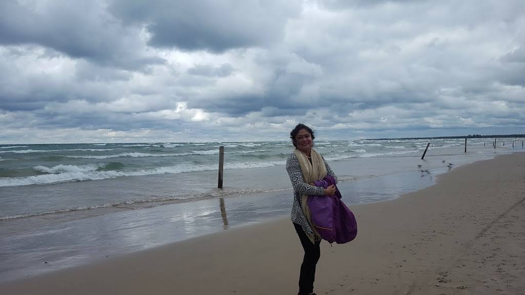 Mars Cosmic Fries | restaurant | 5 Lakeshore Blvd N, Sauble Beach, ON N0H 2G0, Canada | 5194223000 OR +1 519-422-3000