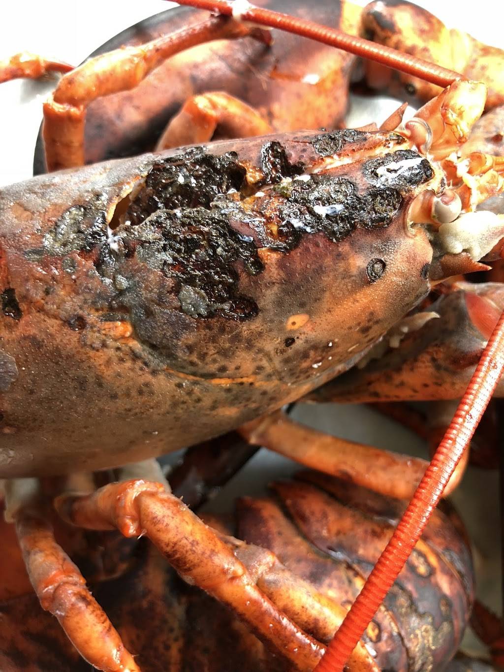 Klein Seafood | restaurant | 1072 Grant St, Akron, OH 44311, USA | 3307731551 OR +1 330-773-1551