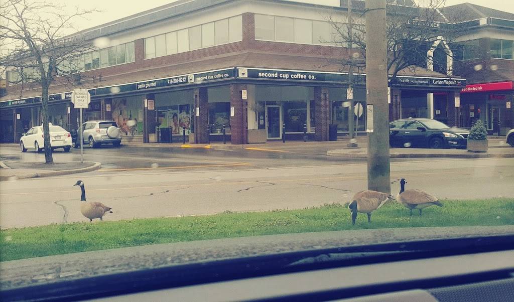 Pasta Gourmet | restaurant | 270 The Kingsway, Etobicoke, ON M9A 3T7, Canada | 4162070212 OR +1 416-207-0212