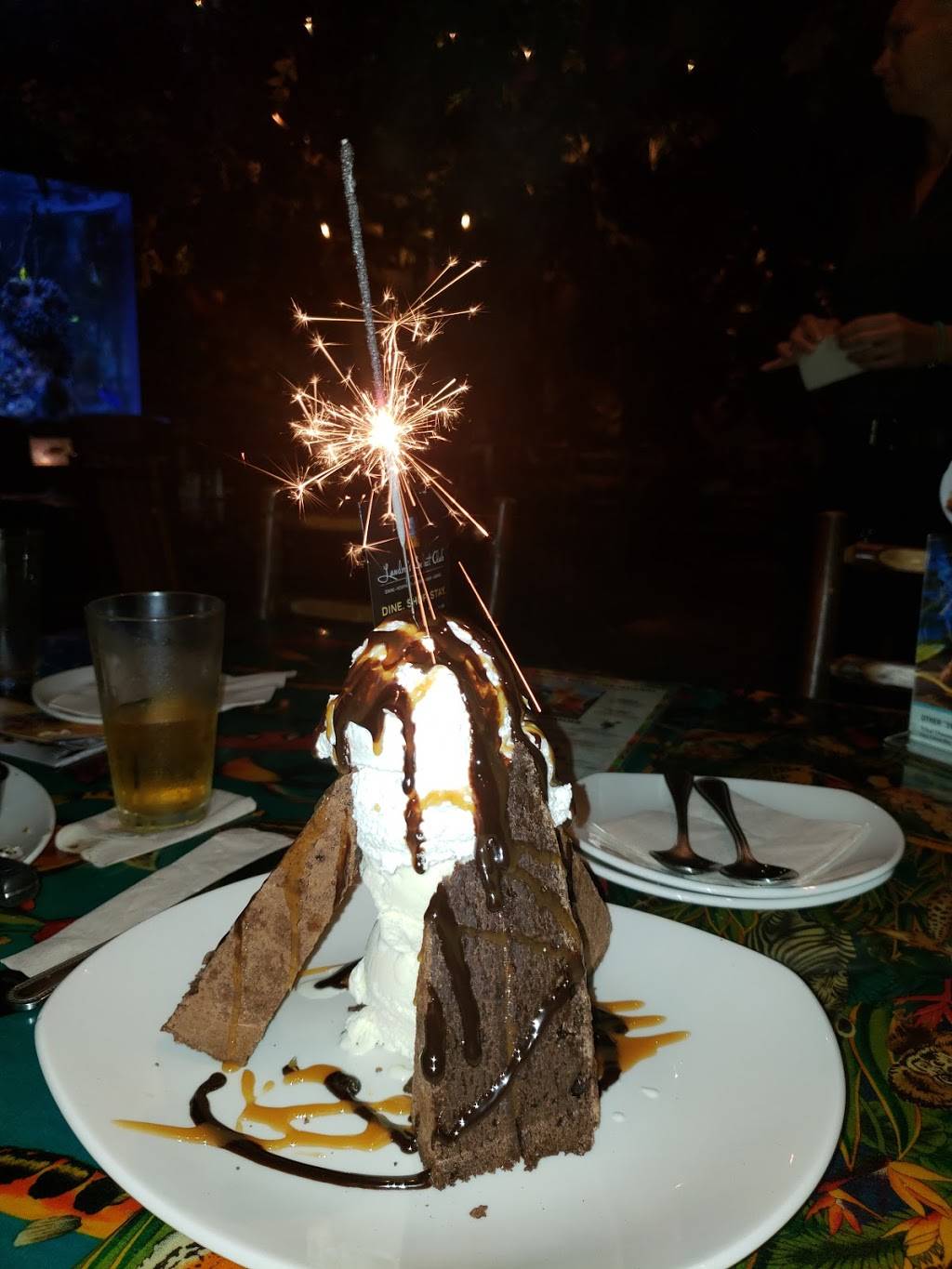 Rainforest Cafe | restaurant | 12801 W Sunrise Blvd, Sunrise, FL 33323, USA | 9548511015 OR +1 954-851-1015