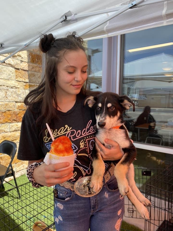 Boho Sno | restaurant | 209 N 7th St, Belen, NM 87002, USA | 5058593228 OR +1 505-859-3228