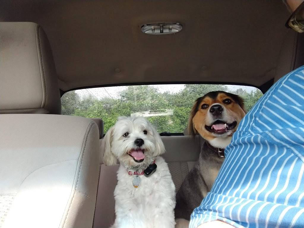 Fortune Village (Blue Roof) | restaurant | 1506 Memorial Blvd, Springfield, TN 37172, USA | 6153846435 OR +1 615-384-6435