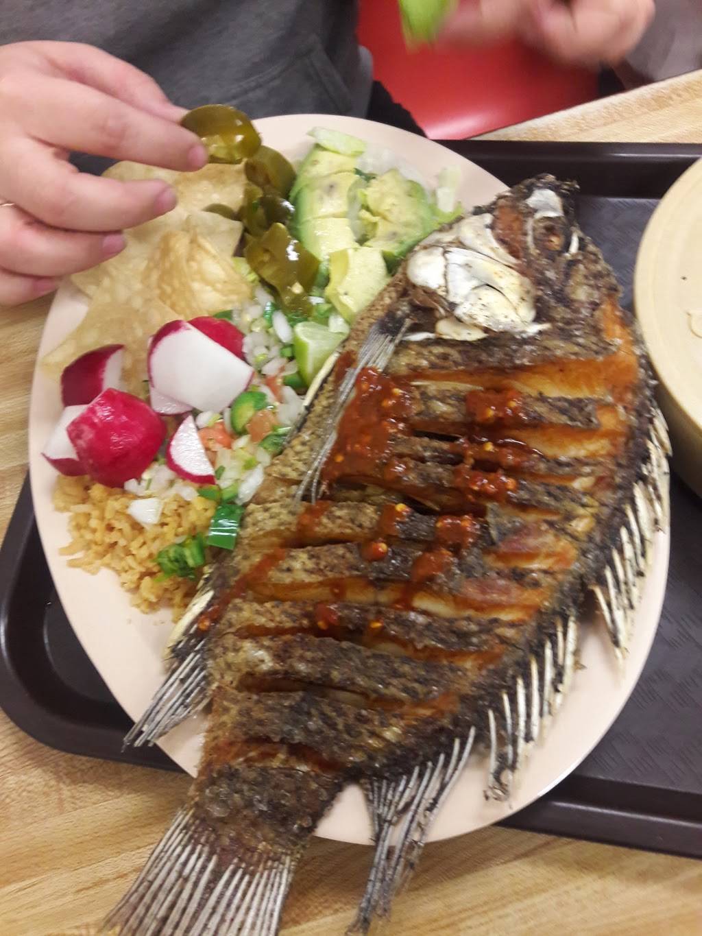 Tacos El Oso | restaurant | 14018 Van Nuys Blvd, Arleta, CA 91331, USA | 8188990627 OR +1 818-899-0627