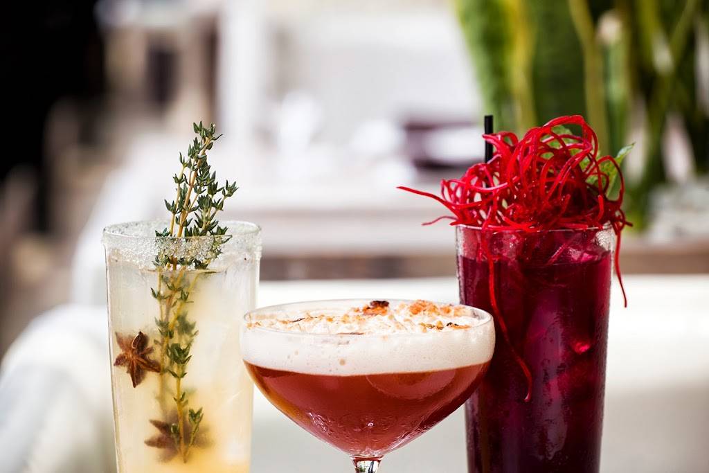 Jellyfish | night club | 1009 N Rush St, Chicago, IL 60611, USA | 3126603111 OR +1 312-660-3111