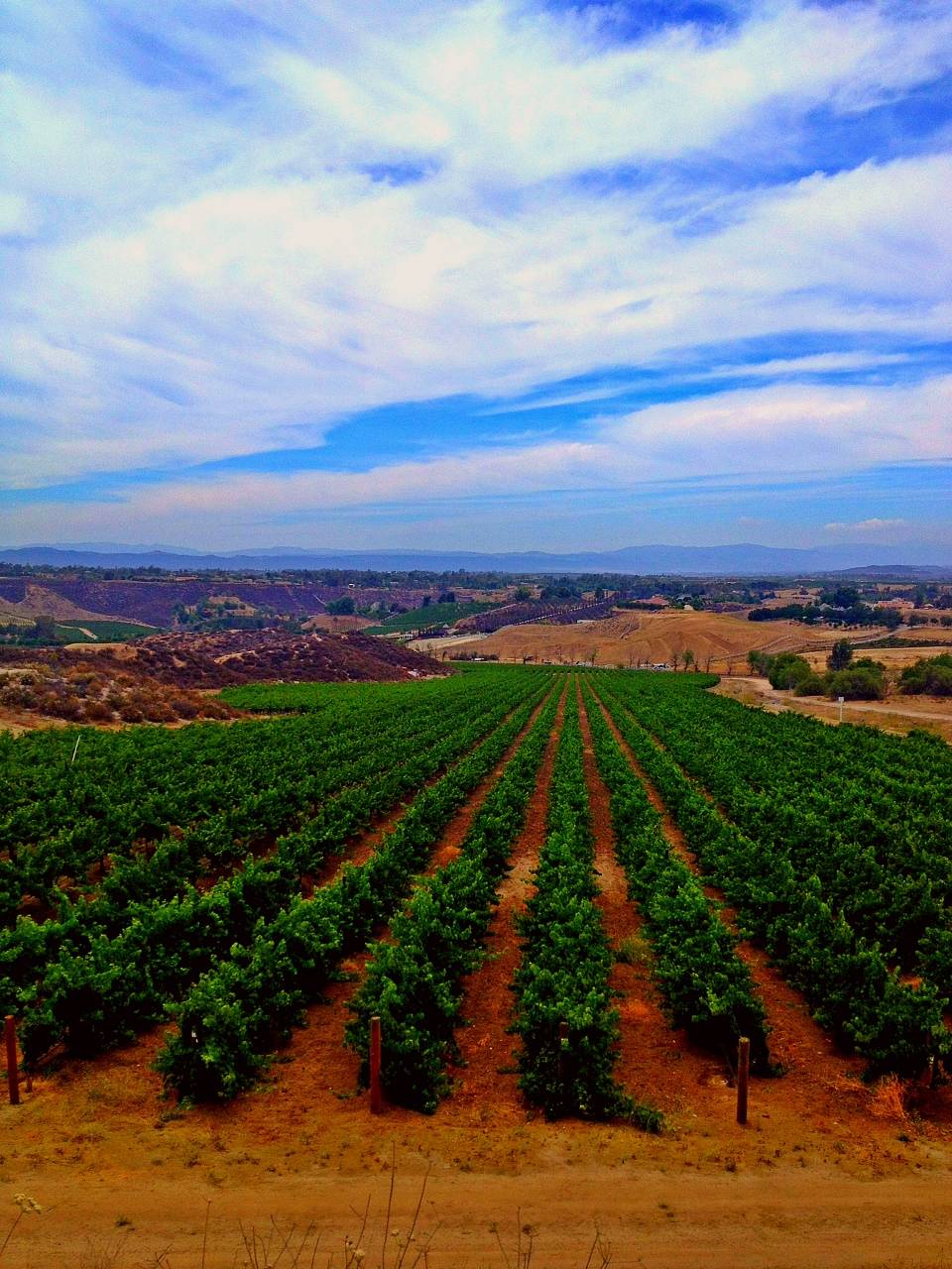 Sunrider Wine Tours | restaurant | 25170 Washington Ave, Murrieta, CA 92562, USA | 9515511516 OR +1 951-551-1516