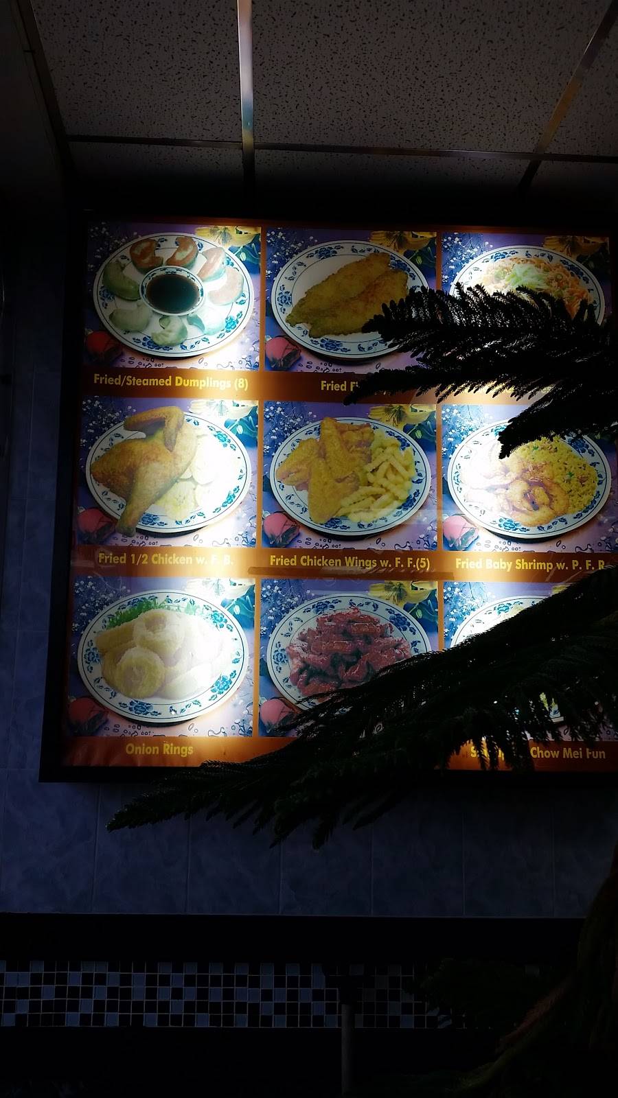 Zheung Xing Kitchen Inc | restaurant | 1646 Great Neck Rd, Copiague, NY 11726, USA | 6318422051 OR +1 631-842-2051