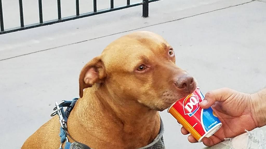 Dairy Queen Grill & Chill | restaurant | 3721 Largent Way, Marietta, GA 30064, USA | 7704268899 OR +1 770-426-8899