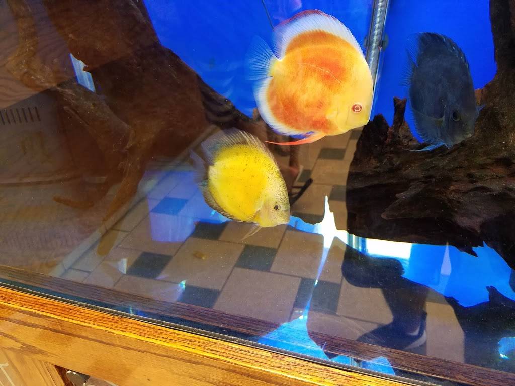 Great Wall II | restaurant | 589 E Boston Post Rd, Mamaroneck, NY 10543, USA | 9146988811 OR +1 914-698-8811