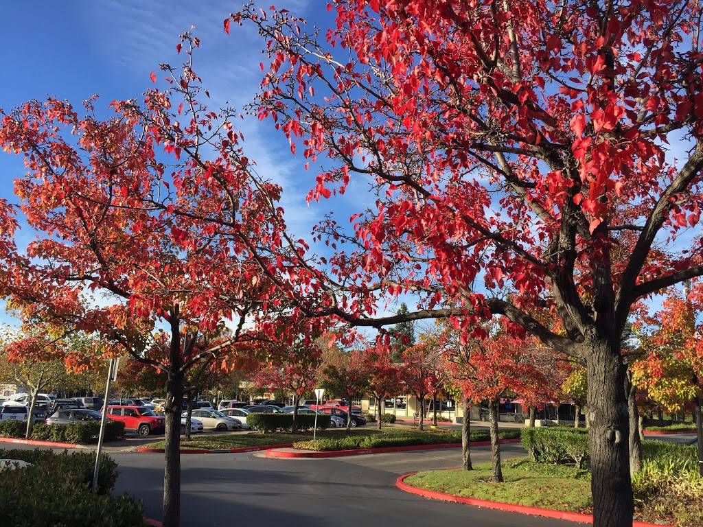 Tassajara Crossing | shopping mall | 3496 Camino Tassajara, Danville, CA 94506, USA | 9252791800 OR +1 925-279-1800