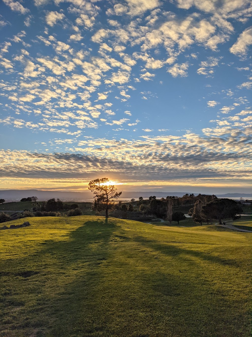 Bay View Golf Club | restaurant | 1500 Country Club Dr, Milpitas, CA 95035, USA | 4082628813 OR +1 408-262-8813