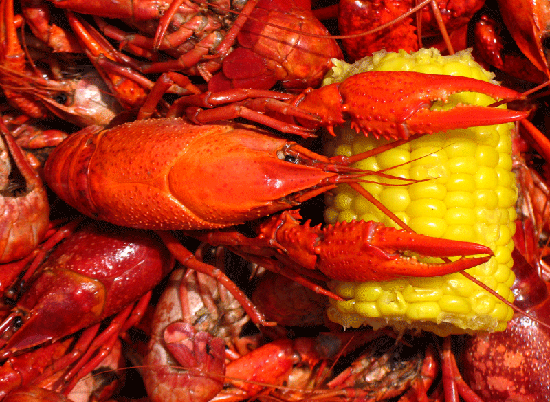 Pooks Crawfish Hole | restaurant | 4015 FM646, Santa Fe, TX 77510, USA | 4094408481 OR +1 409-440-8481