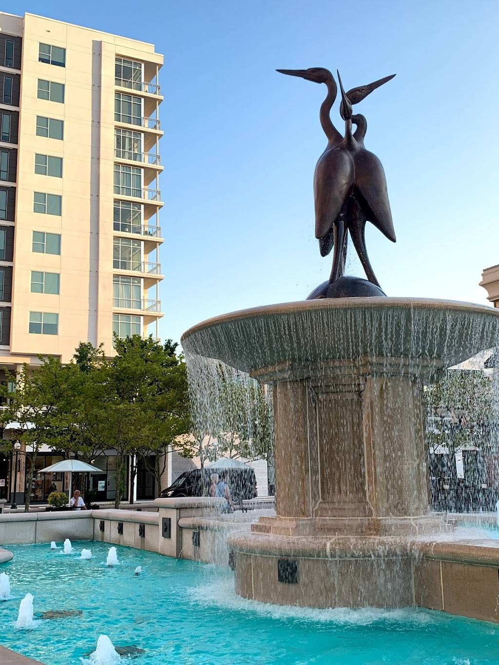 Cold Stone Creamery | bakery | 228 Central Park Ave, Virginia Beach, VA 23462, USA | 7574977555 OR +1 757-497-7555