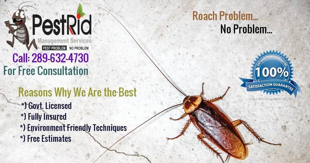 PestRid Pest Control Services | restaurant | 16 Madison St, Brampton, ON L6S 3C5, Canada | 2898003355 OR +1 289-800-3355