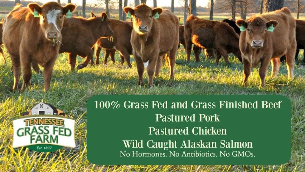 Tennessee Grass Fed Farm | restaurant | 335 Williams Rd, Clarksville, TN 37043, USA | 6153475454 OR +1 615-347-5454