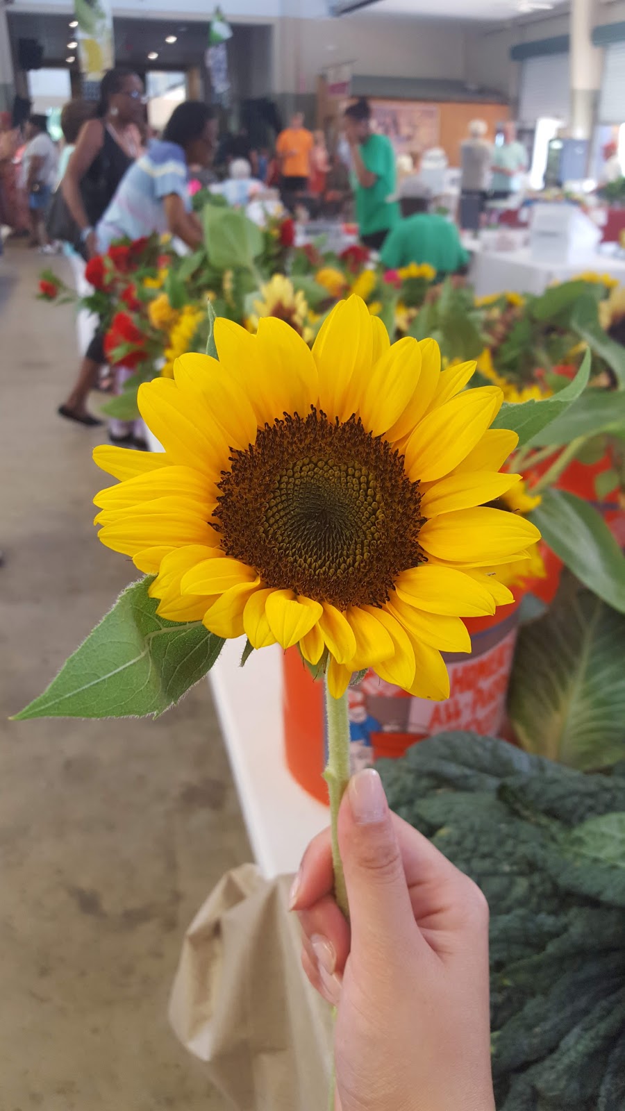 Farmers Market Café | restaurant | 929 High St, Jackson, MS 39202, USA | 6014670800 OR +1 601-467-0800