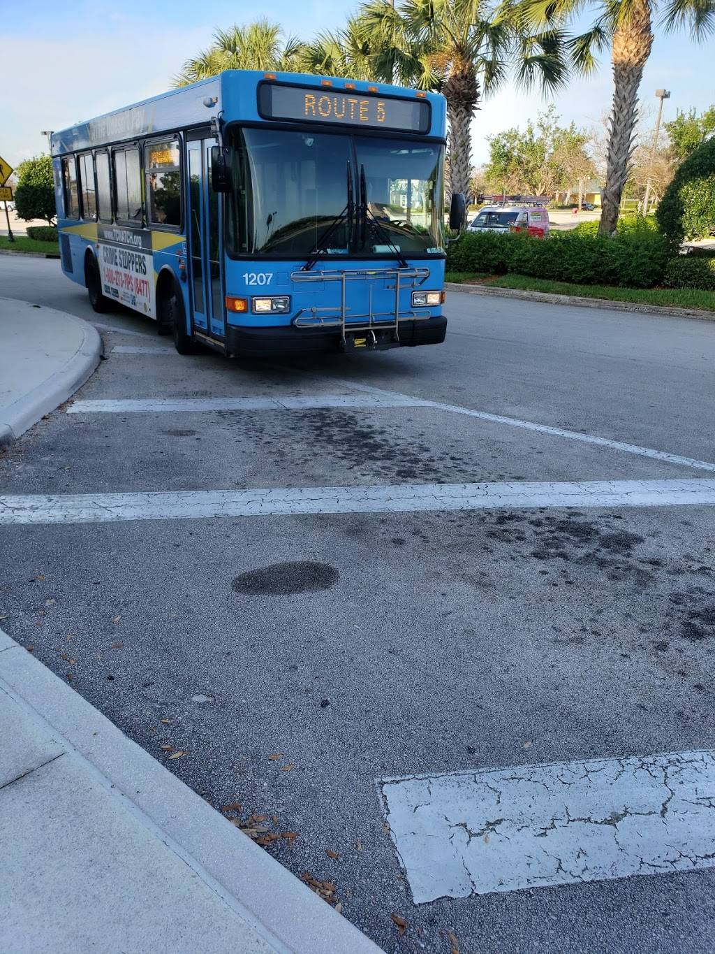 Tropical Smoothie Cafe | restaurant | 10628 SW Village Pkwy, Port St. Lucie, FL 34987, USA | 7723446960 OR +1 772-344-6960