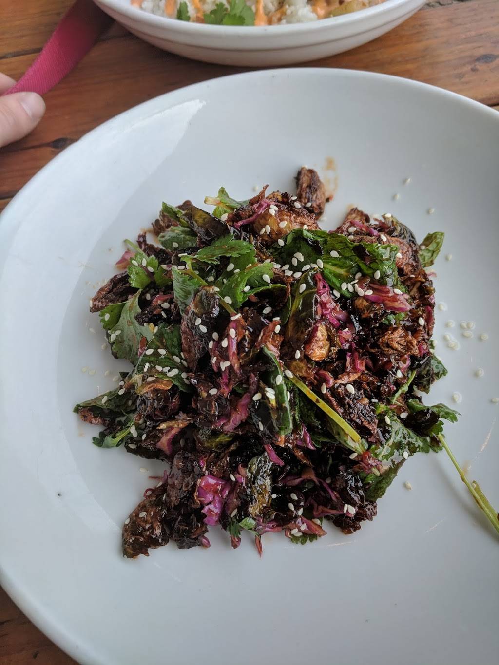 Shepherd Park Draught House | restaurant | 3402 N Shepherd Dr, Houston, TX 77018, USA | 8327671380 OR +1 832-767-1380