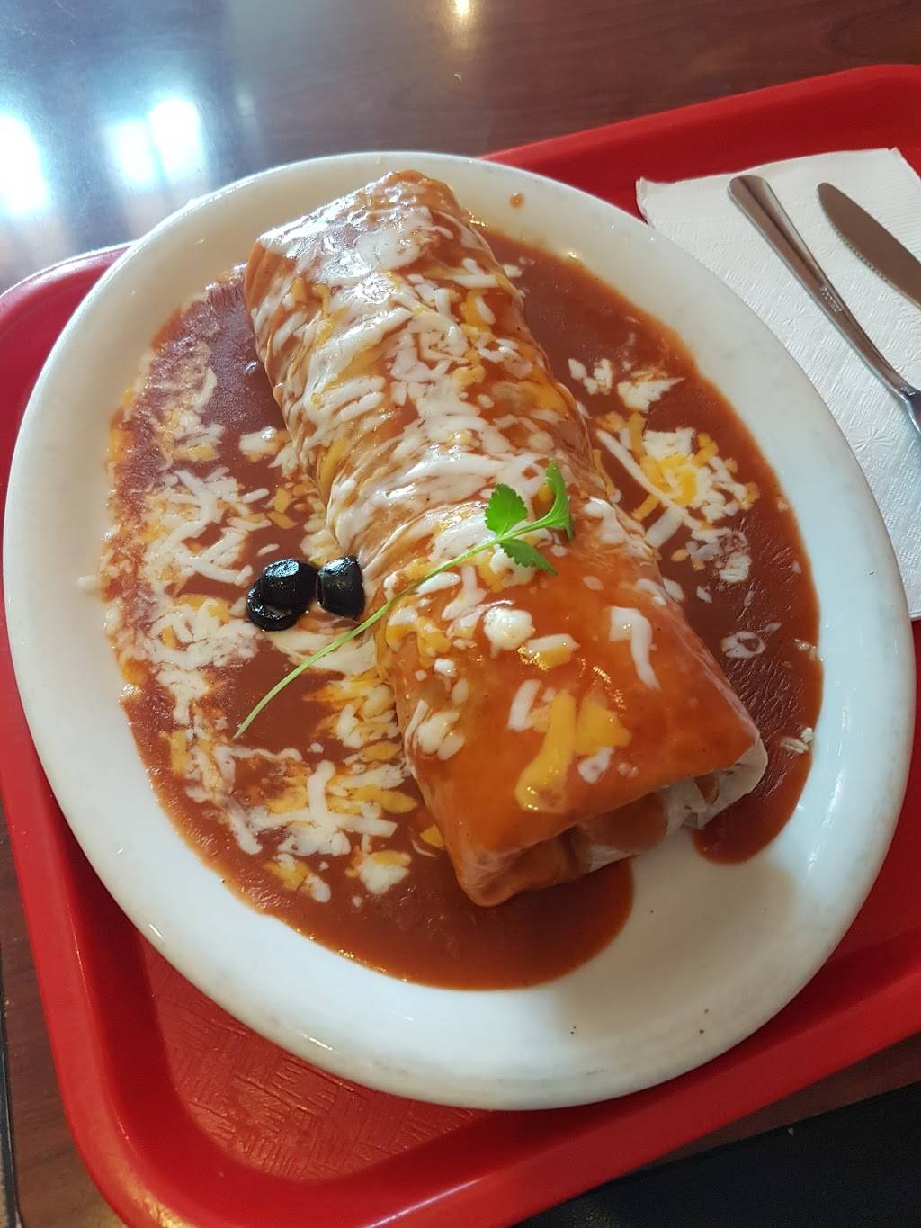 Burrito Factory | restaurant | 2055 Camden Ave, San Jose, CA 95124, USA | 4086280130 OR +1 408-628-0130