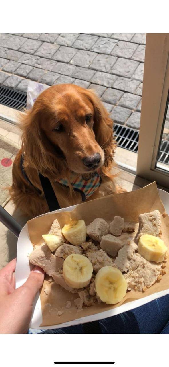 Oh My Soul | restaurant | 3046 N Davidson St, Charlotte, NC 28205, USA | 7048914664 OR +1 704-891-4664