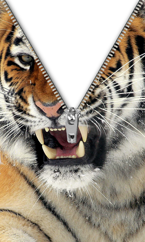 Encore Cafe | restaurant | 726 N, 726 TN-4 #103, Memphis, TN 38105, USA | 9012076878 OR +1 901-207-6878