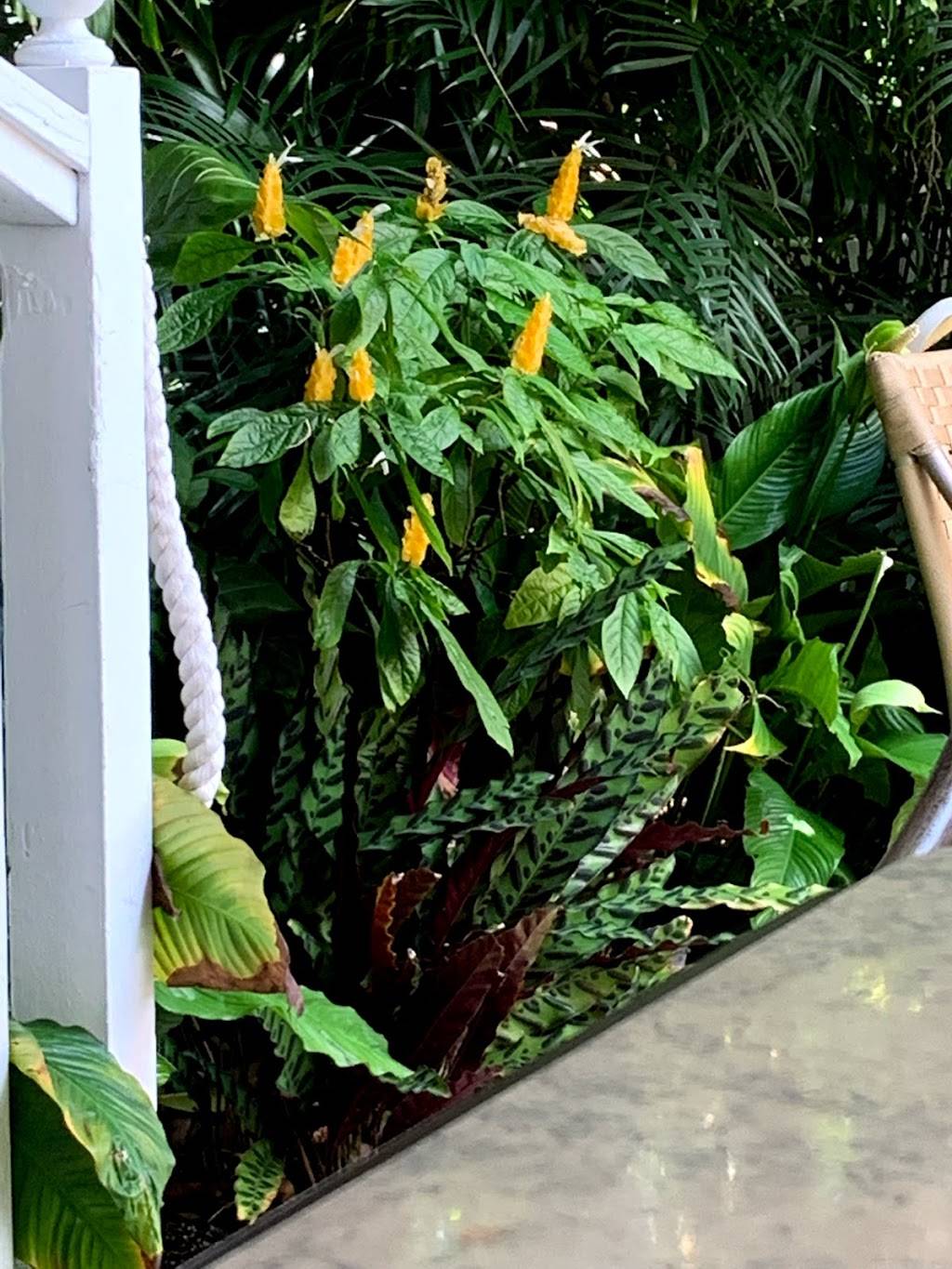 Essensia Restaurant & Lounge, at The Palms Hotel & Spa | night club | 3025 Collins Ave, Miami Beach, FL 33140, USA | 3059085458 OR +1 305-908-5458