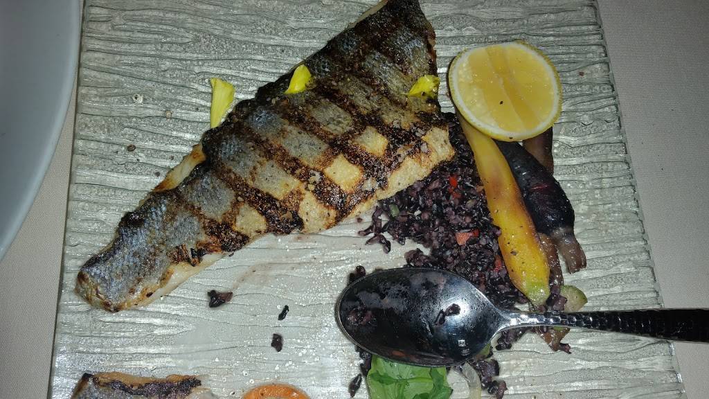 VIVO! Mediterranean Grill & Catering | restaurant | 201-10 Cross Island Pkwy, Bayside, NY 11360, USA | 7183522300 OR +1 718-352-2300